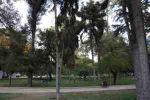 9. Parc Bella Artes